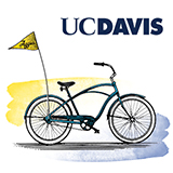 Illustration of a cruiser bike with Aggies pennant on the back and a UC Davis logo