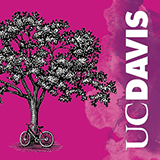 Illustration of a bike leaning on a large oak tree, with a white UC Davis logo turned sideways next to it. There is a pink and purple watercolor splash behind the tree.