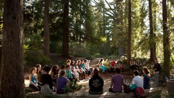 Gathering in Redwood Grove
