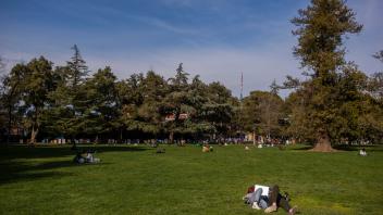 students lay on green grass at the UC Davis quad